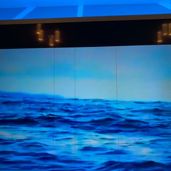 Philips TV Philips LCD TV'de Ekran Çizgileri Oluştu