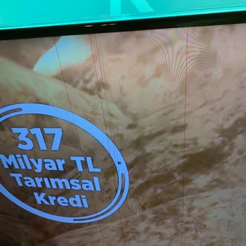 Philips TV Philips LCD TV'de Ekran Çizgileri Oluştu