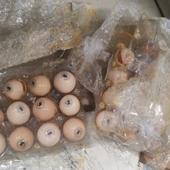 Yurtiçi Kargo Göndermiş Olduğum Ürünün Kullanılamaz Hale Gelmesi