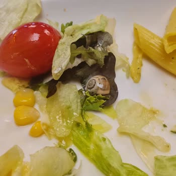 Tavuk Dünyası 17 Burda Avm Şubesinde Salyangozlu Salata Ve Ali Nazikli Tavuk