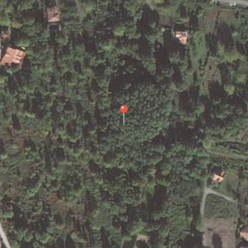 Instagram'da Kumsal Bungalov Sayfasında Yanıltıldım