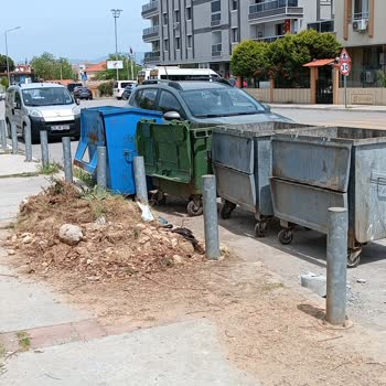 İzmir Gaziemir Belediyesi Çevre Kirliliği, Toplanmayan Çöpler