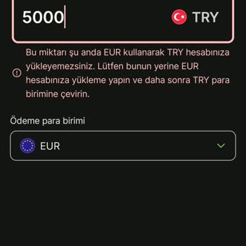 Wise Hesabına Para Yükleme