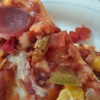 BİM Lezzethane Markalı Pizzadan Böcek Çıktı.