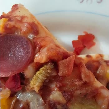 BİM Lezzethane Markalı Pizzadan Böcek Çıktı.