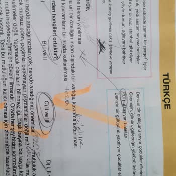 Hız Yayınları LGS Deneme 6 Türkçe B Kitapçığı 13. Soru İptal Edilsin!