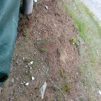 Elazığ Valiliği İl Özel İdare