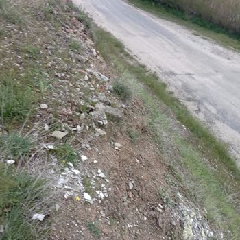 Elazığ Valiliği İl Özel İdare