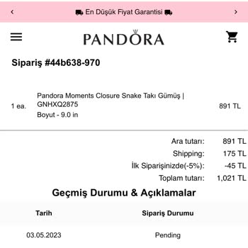 Pandora Mücevher Pandora Turkey Store Sitesinin Kötü Amaçlı Kullanımı Hakkında