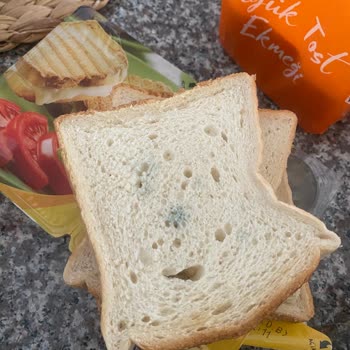 BİM Tost Ekmeğinin Küflü Olması