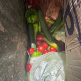 Şok Marketler'de Çöpe Atılan Sebzeler Ve Meyveler
