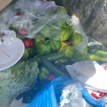 Şok Marketler'de Çöpe Atılan Sebzeler Ve Meyveler