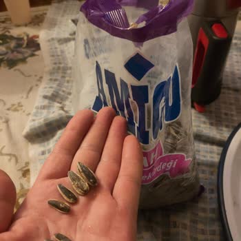 Amigo Marka Kuruyemiş Ayçekirdeği