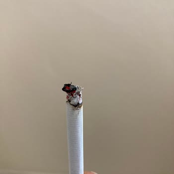 Philip Morris Touch Blue Sigarada Sert Cisimler