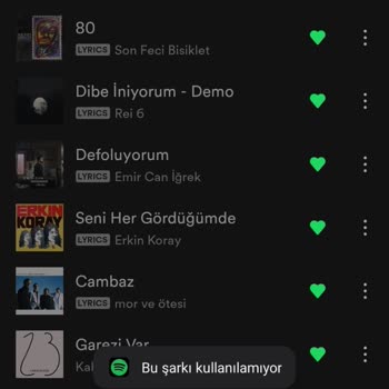 Spotify Çevrim Dışı Dinleme