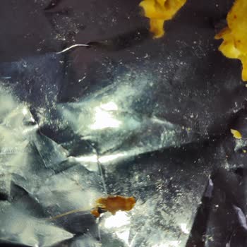 A101 Samba Cips İçerisinden Çıkan Yabancı Cisim.