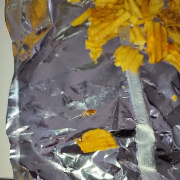 A101 Samba Cips İçerisinden Çıkan Yabancı Cisim.