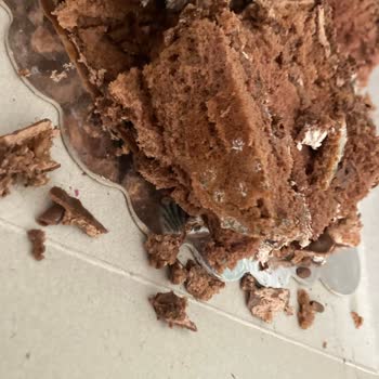 Setbaşı Luna Pastanesi 'nin İhmalkarlığı