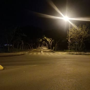 Oppo Reno 2 Z Telefon Fotoğraf/Video Işık Saçması.