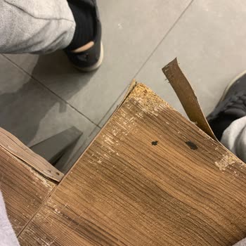 Lipa Dondurma Oturakları Kontrol Edilmeli