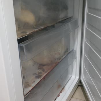 Altus Buzdolabı Kapağı Kapanmıyor