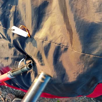 Albastar Olta İkiye Kırıldı