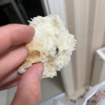 Çamaltı Pastanesi (Keçiören) Ekmekten Böcek Çıktı