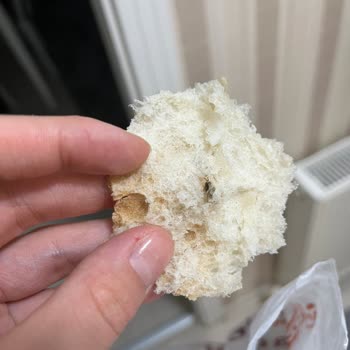 Çamaltı Pastanesi (Keçiören) Ekmekten Böcek Çıktı