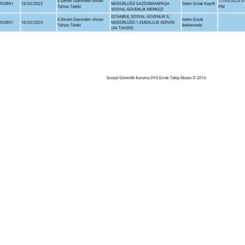 E-Devlet (Turkiye.gov.tr) Emeklilik İşlemleri