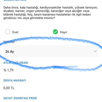 Anadolubank Kredi Kullandırma Problemi