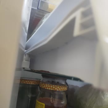 Samsung Buzdolabı Raf Plastikleri Garanti Dışı