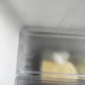 Samsung Buzdolabı Raf Plastikleri Garanti Dışı