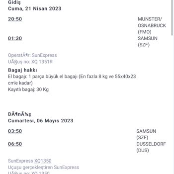 SunExpress Hava Yolları Grevden Dolayı Kaçırılan Uçak