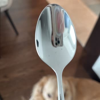 Leısure Türkiye Leisure Marka Bulaşık Makinesi