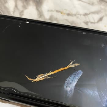 Torku Dana Kokteyl Sosis