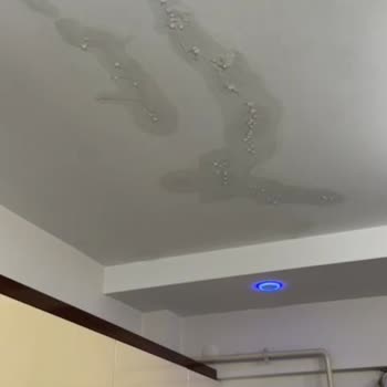 Arpa Ekspertiz Arpa Sigorta Ekspertiz - 276 TL Hasar Ödemesi