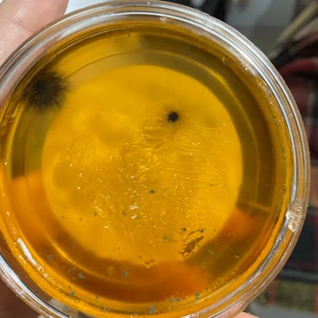 Gratis Küflü Ürün Ve Ücretsiz Mağaza Teslimatı Ücreti