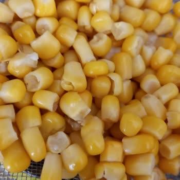 Superfresh Konserve Süt Mısır
