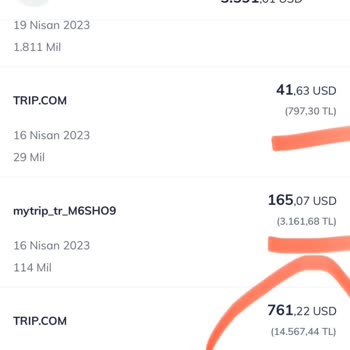 QNB Finansbank Tl Harcamasını Bile Dolara Endekslemiş