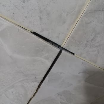 TOKİ Evin Teknik Sorunları