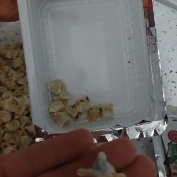 Tokana Mantı Mantılar Küflüydü