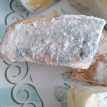 Sarıkamış Yörem Şarküteri Bozuk Ürün Gönderdi