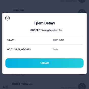 Google Young Joy Kredi Kartımdan Bilgim Ve İznim Olmadan İşlem Yapılması