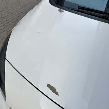 Paint Peeling On 8-Year-Old Opel Car with No Repairs