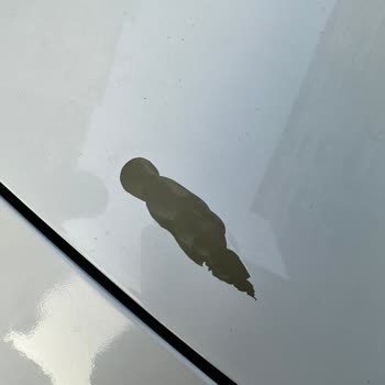 Paint Peeling On 8-Year-Old Opel Car with No Repairs