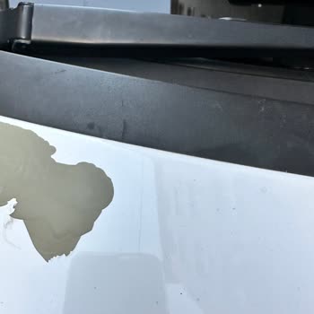 Paint Peeling On 8-Year-Old Opel Car with No Repairs