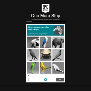 Netspeed Spam IP Tahsisi