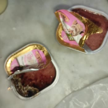 Worldmar Batman World Mar In Müşteri Memnuniyetsizliği