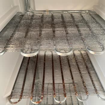 6 Aylık Profilo Derin Dondurucum Paslandı, Markanın İlgisizliği