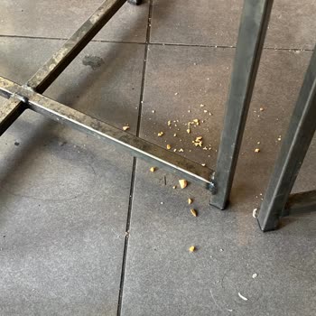 Starbucks Coffee Kaba Davranış Ve Kirli Oturma Yeri!